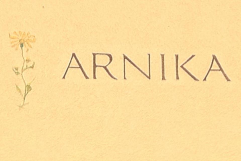 Apartment Haus Arnika Obersaxen Zewnętrze zdjęcie